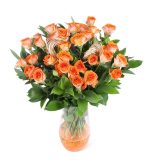 Turuncu Gül (Rose)