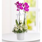 Mor Orkide (Phalaenopsis) Beyaz Gül ve Lilyum Aranjmanı